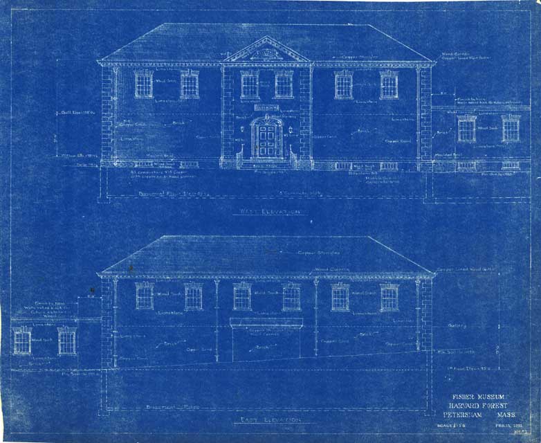 Original blueprint | front and rear elevations