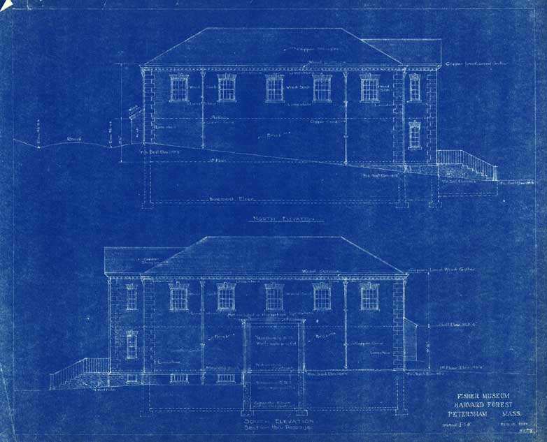 Original blueprint | flank elevations