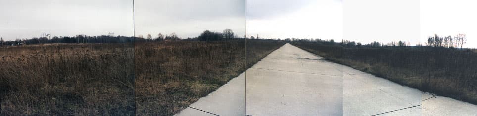 Old military road with concrete surface in open grassland, Lichterfelde Sud, Berlin.
